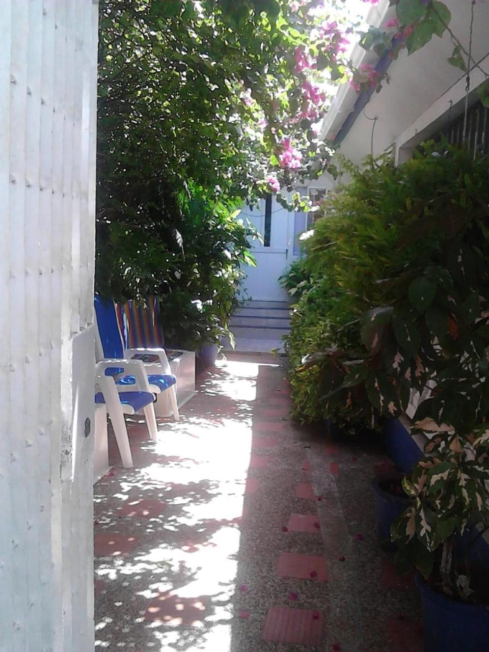 Vianova'S Place Posada Nativa San Andrés Extérieur photo